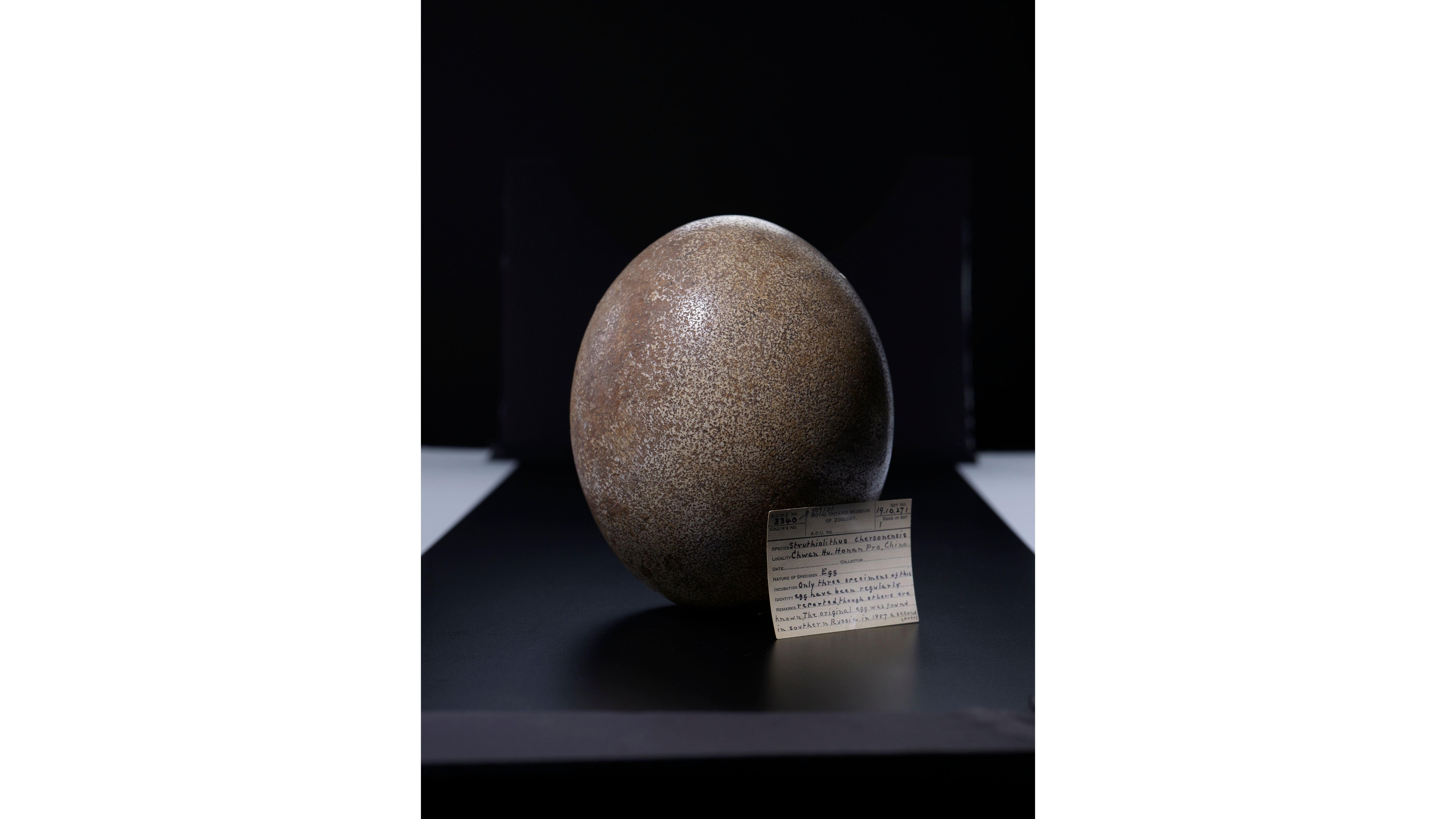 　Ano egg This May Be The Secret To Long Life: Black Eggs of Hakone - TravelFeed